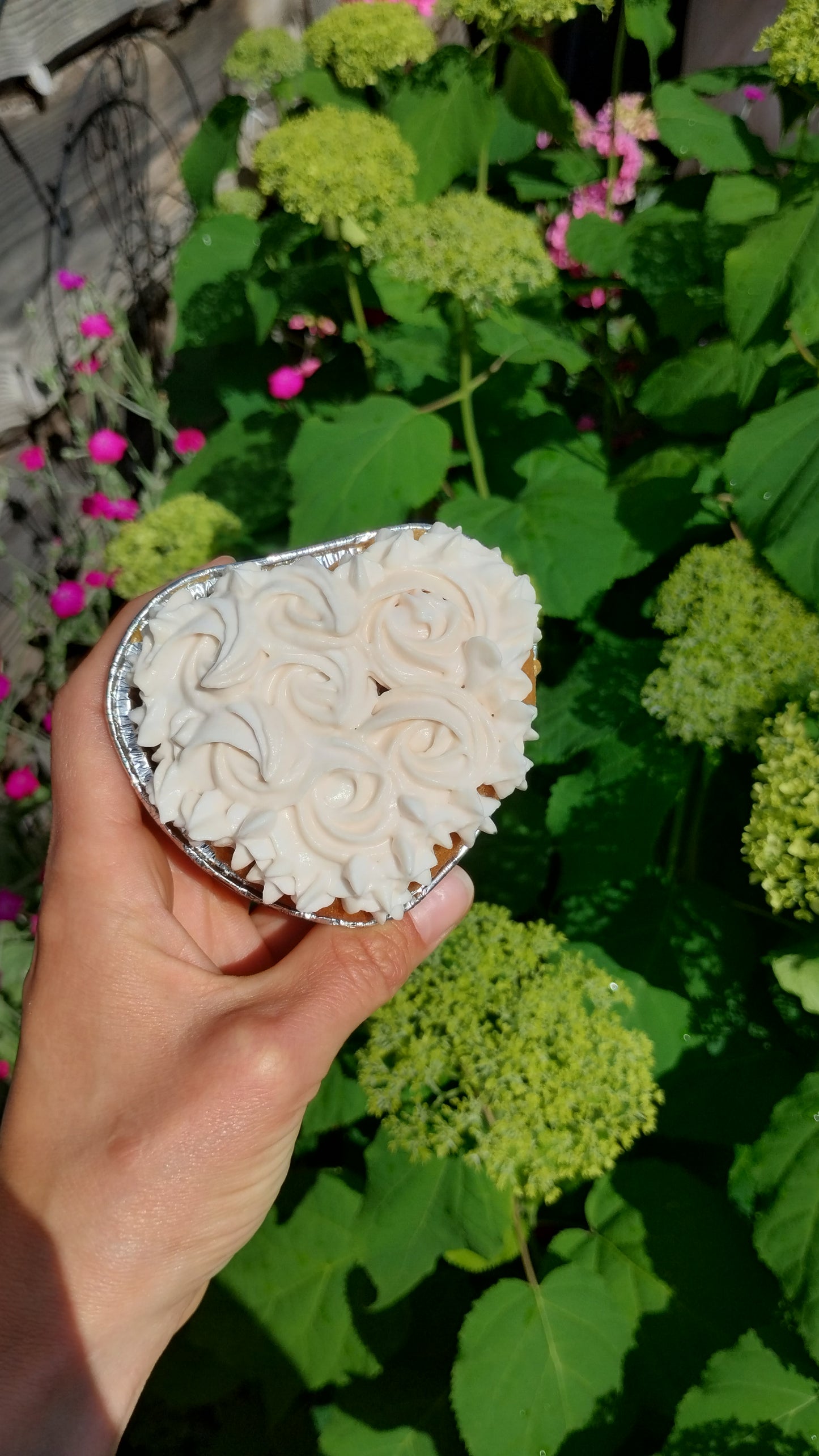 4 Vanille hartjes cake